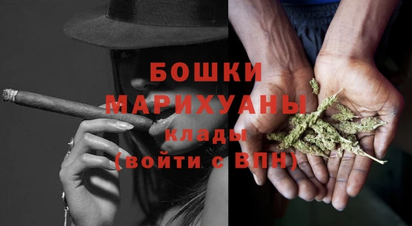 ГАЛЛЮЦИНОГЕННЫЕ ГРИБЫ Касимов