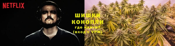 ГАЛЛЮЦИНОГЕННЫЕ ГРИБЫ Касимов