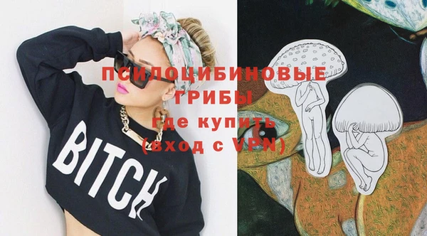 тгк Карпинск