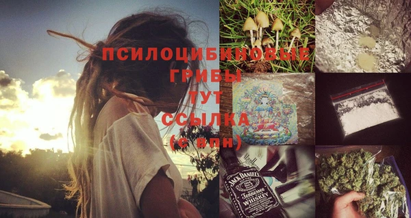 ГАЛЛЮЦИНОГЕННЫЕ ГРИБЫ Касимов