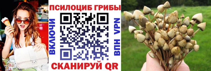Псилоцибиновые грибы Magic Shrooms  Купить где  Торжок 