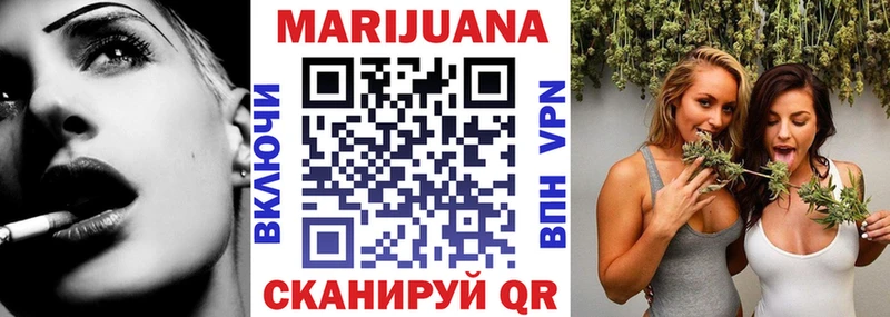 Купить закладки  Торжок  Шишки марихуана сатива 